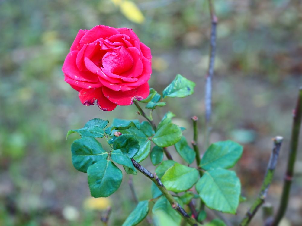 Photograph by Сергей Борисов