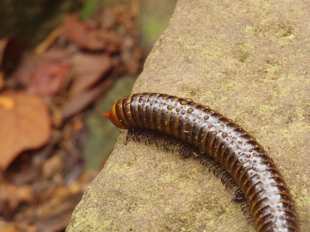 Photograph by Вадим Богатиков