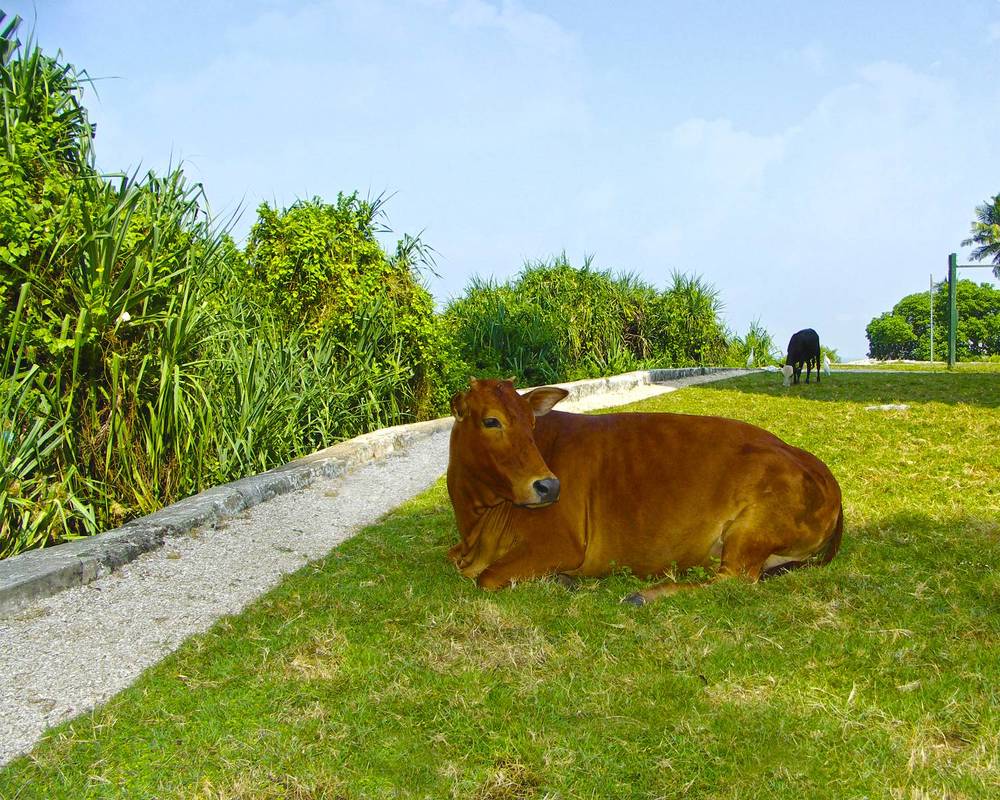 Photograph by Анатолий Максимов