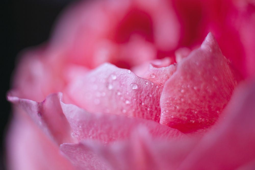 Photograph by ЕЛЕНА Рохо-Фернандес