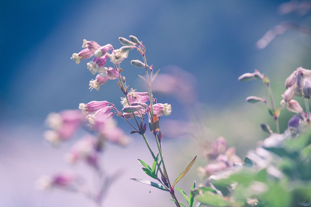 Photograph by ЕЛЕНА Рохо-Фернандес