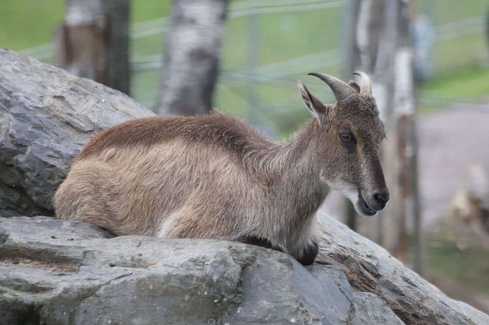 Photograph by DUBINA LEONID