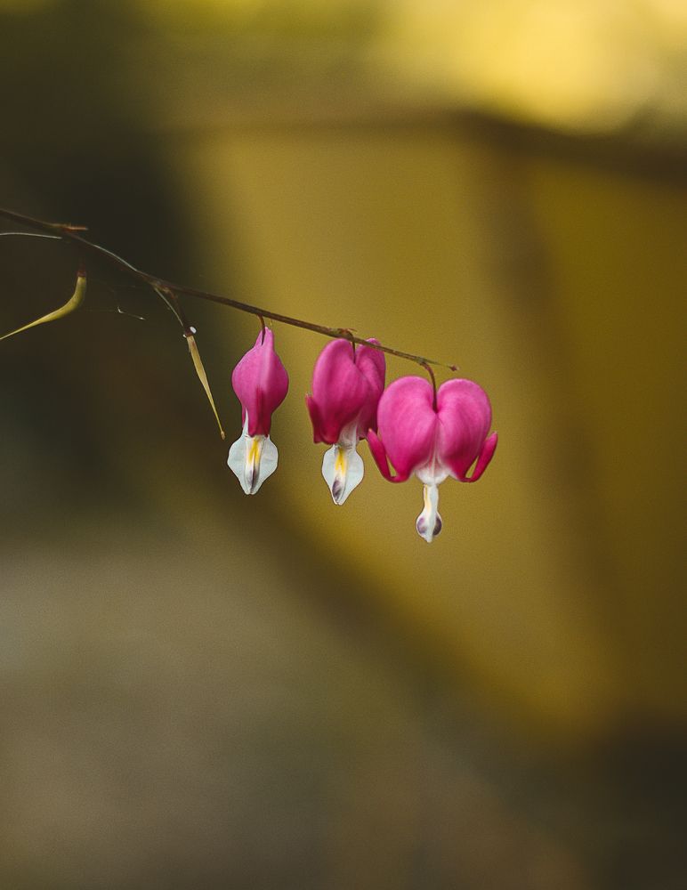 Photograph by Остапенко Алина