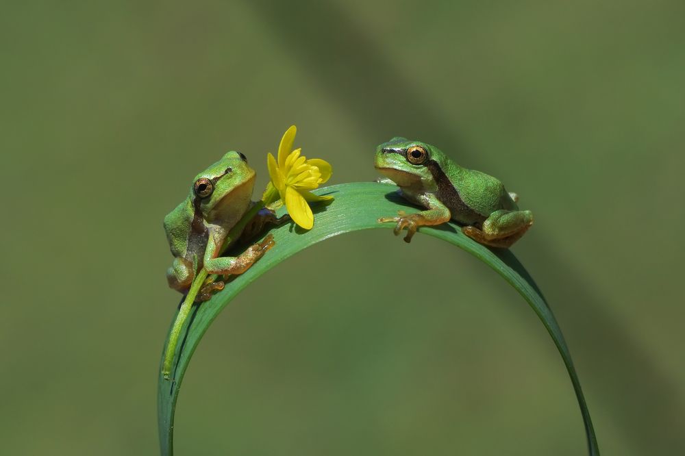 Photograph by Savas Sener