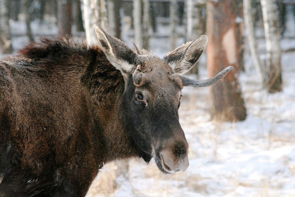 Photograph by DUBINA LEONID