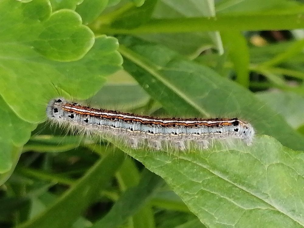 Photograph by Татьяна Ненюхина