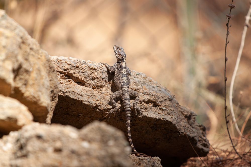 Photograph by ЕЛЕНА Рохо-Фернандес