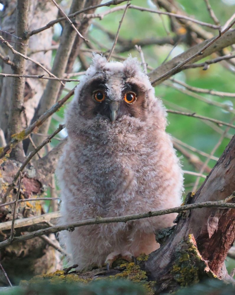 Photograph by Елена Кузина