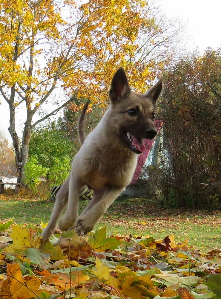 Photograph by Елена Кузина