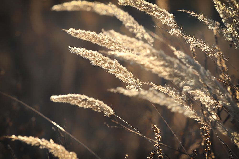 Photograph by ЕЛЕНА Рохо-Фернандес