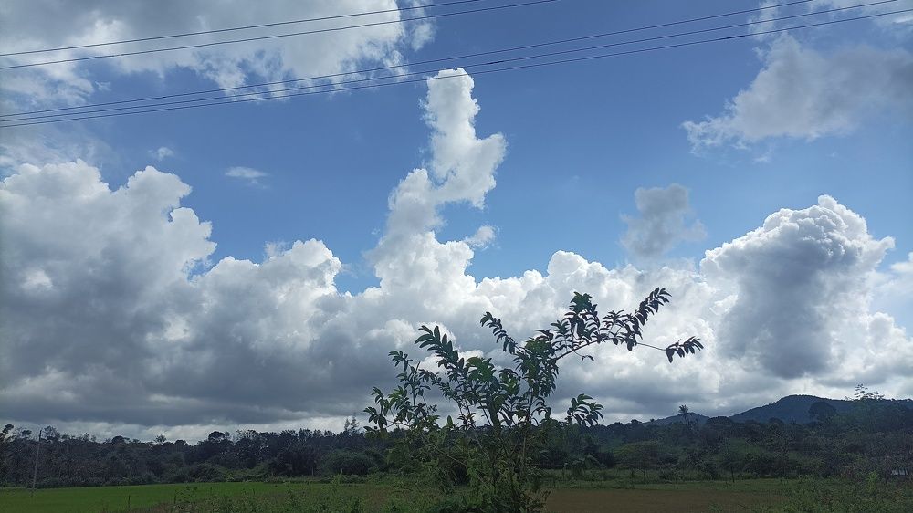 Photo #11438275