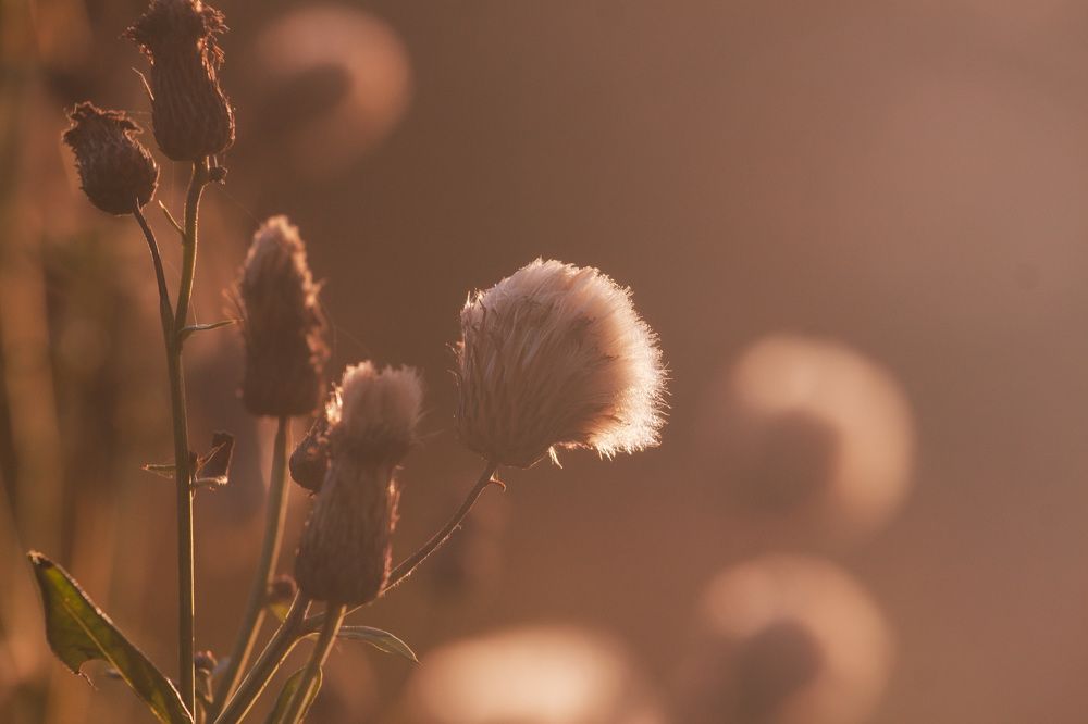 Photograph by ЕЛЕНА Рохо-Фернандес