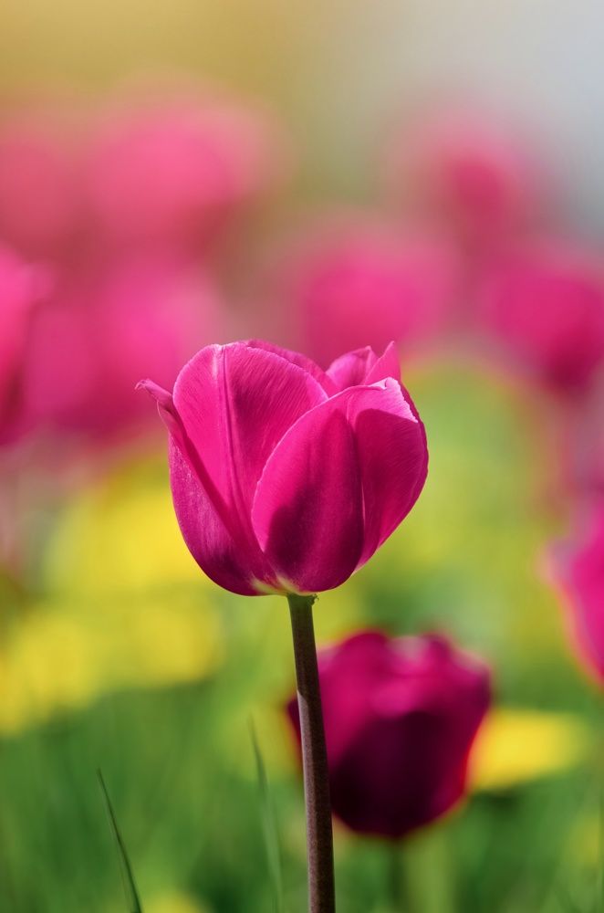 Photograph by Вероника Романенко