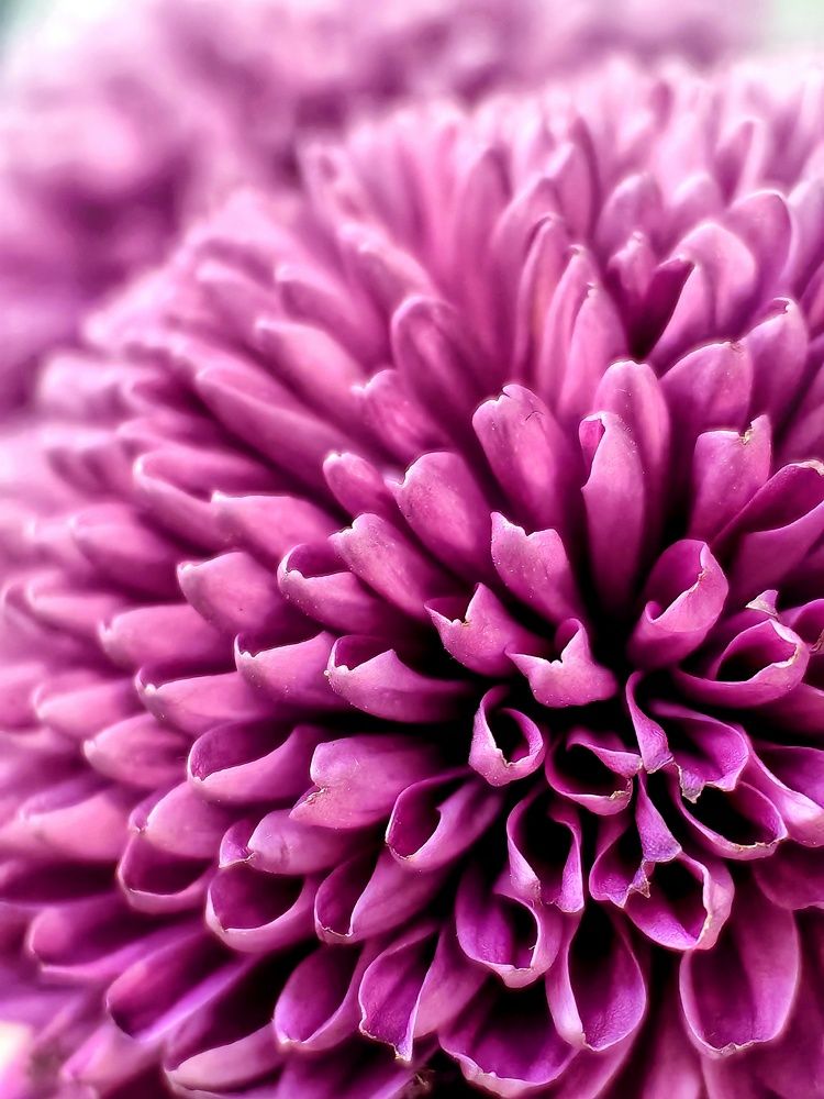 Photograph by Вероника Романенко