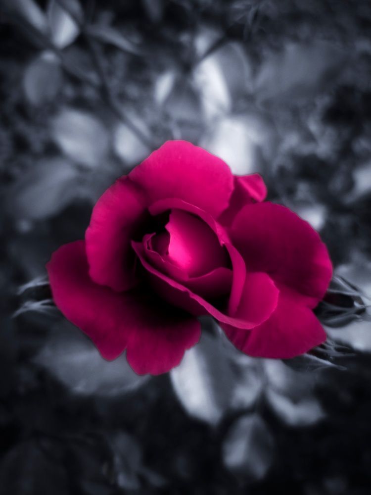 Photograph by Вероника Романенко