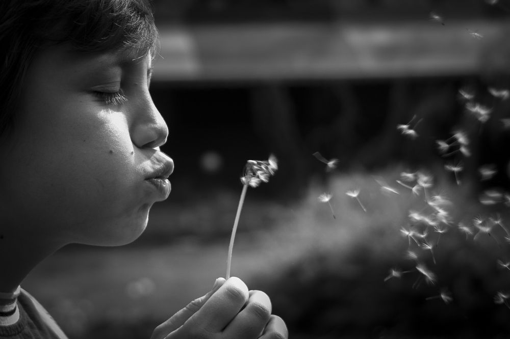 Photograph by Milot Krasniqi