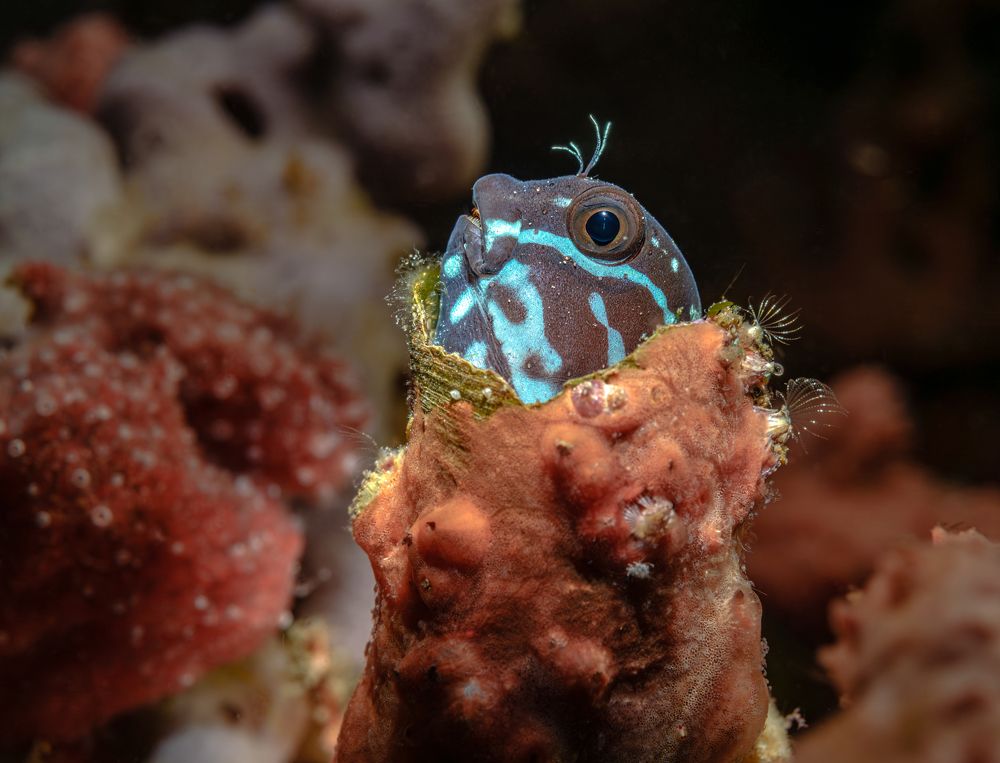 Photograph by Савин Андрей