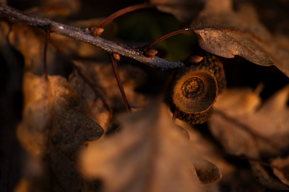 Фотография автора Анна Листишенко