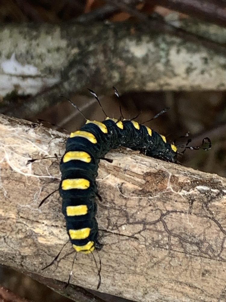 Фотография автора Ирина Шпаковская