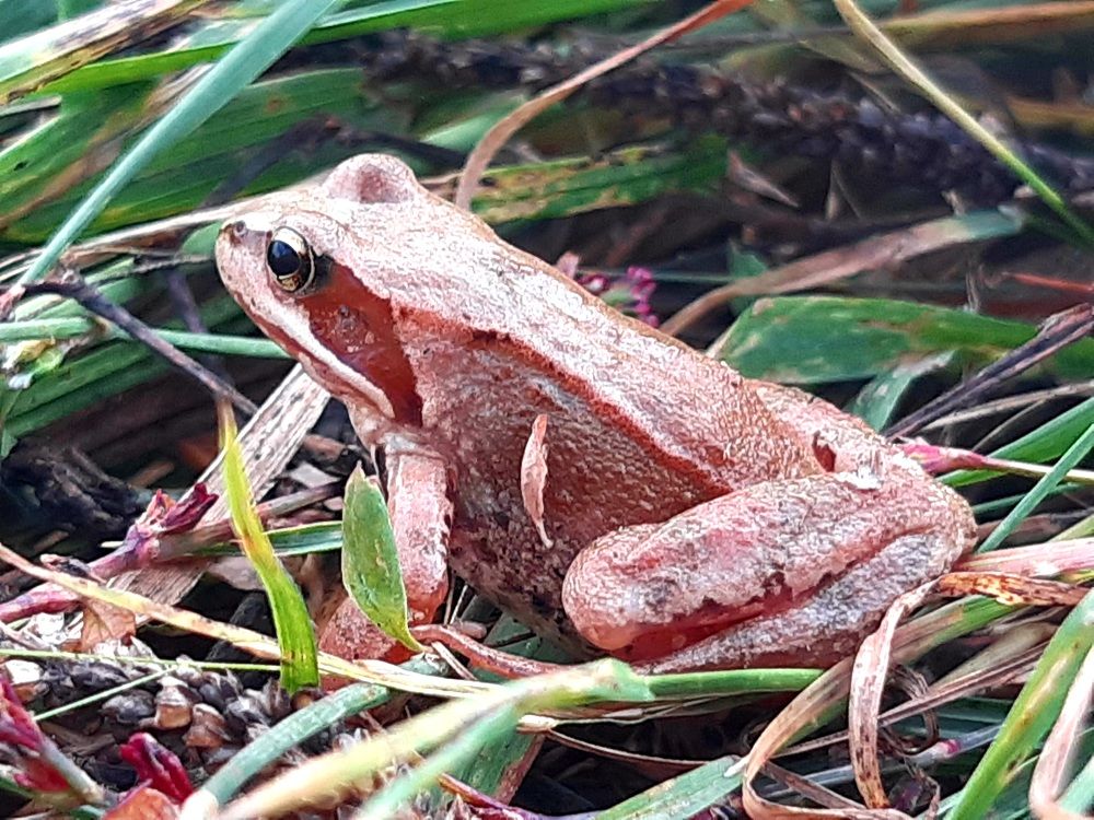 Photograph by Екатерина