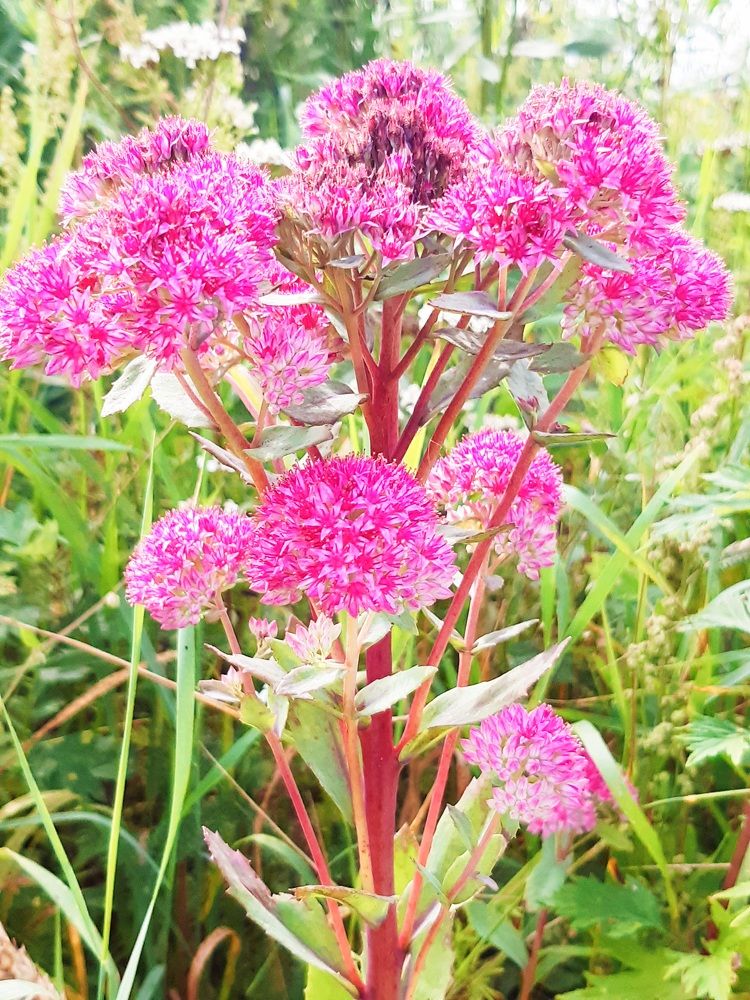 Photograph by Екатерина