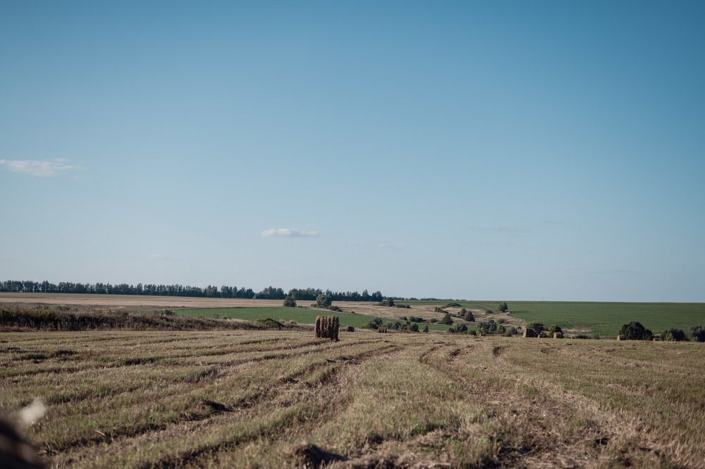 Photograph by Светлана Субботина