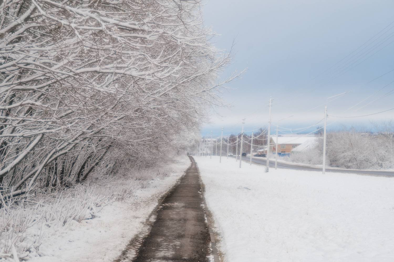 Фотография #11438356