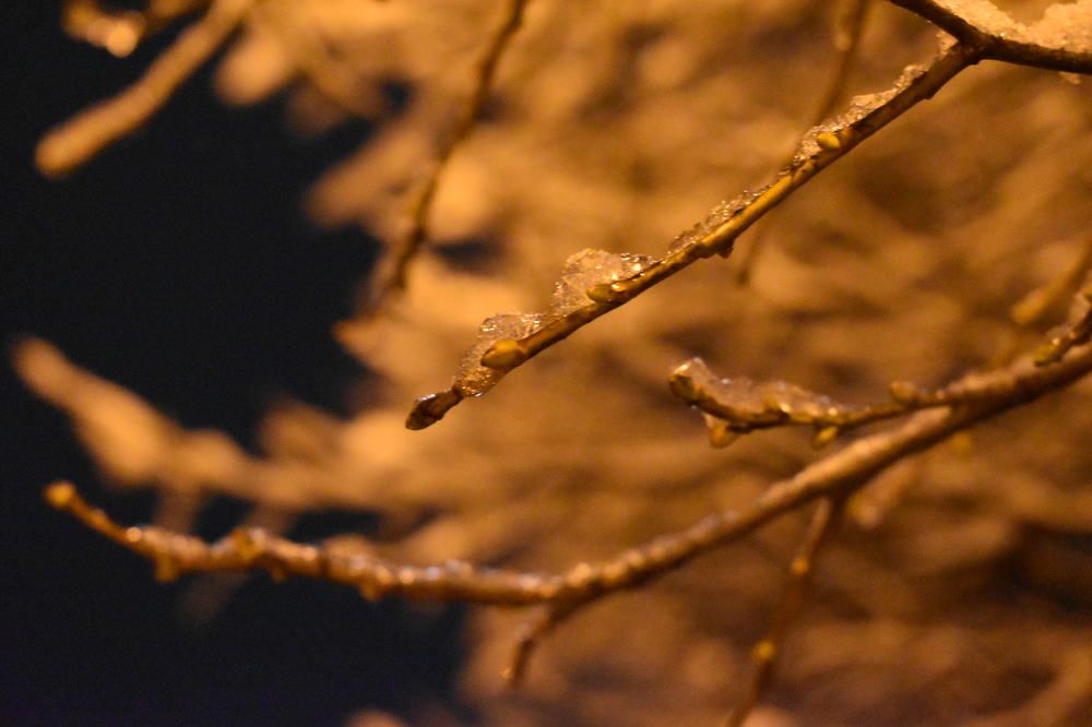 Photograph by Ксения Лебедева