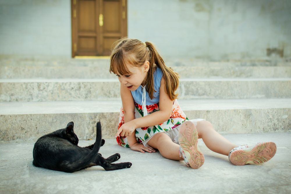 Photograph by Евгения Дахина