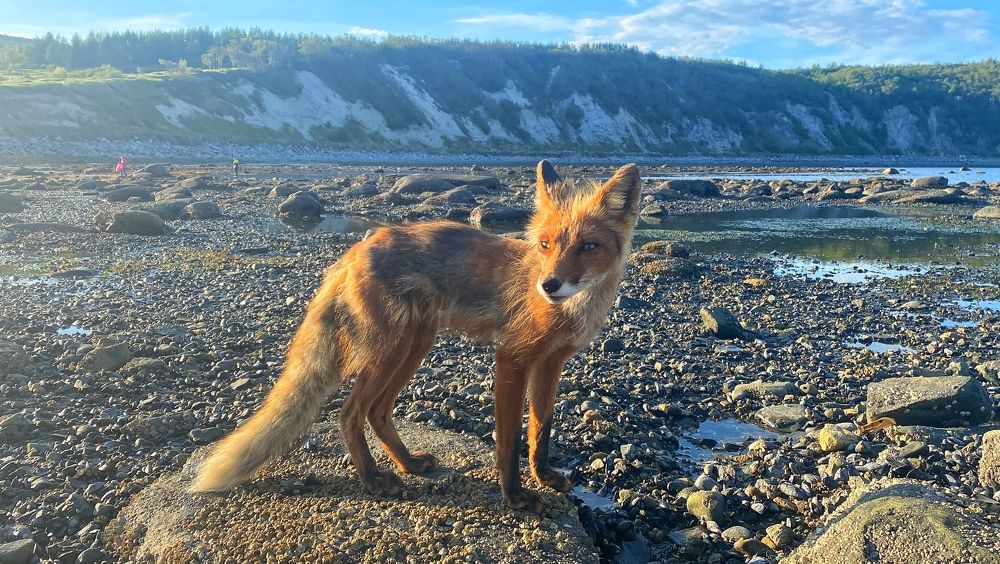 Photograph by Анна Дудко