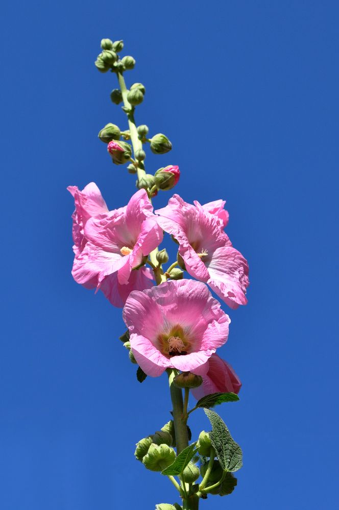 Photograph by Людмила Низова