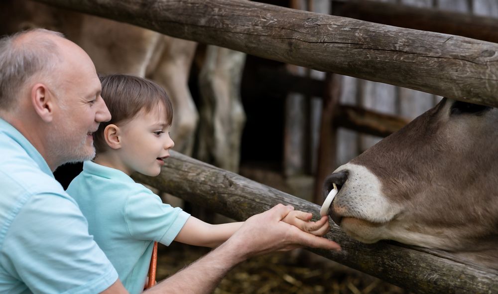 Фотография автора Анна Листишенко