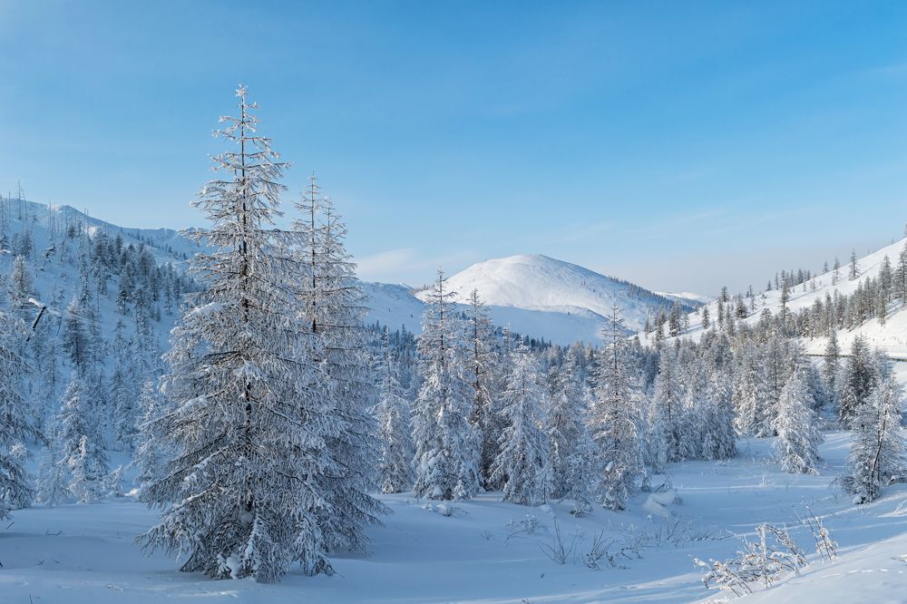 Photograph by Zemnuhov Sergey