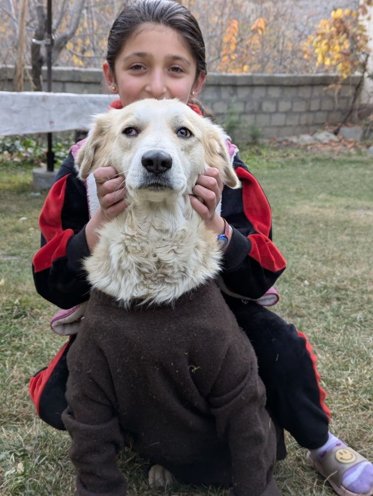 Photograph by Ishaq Karim