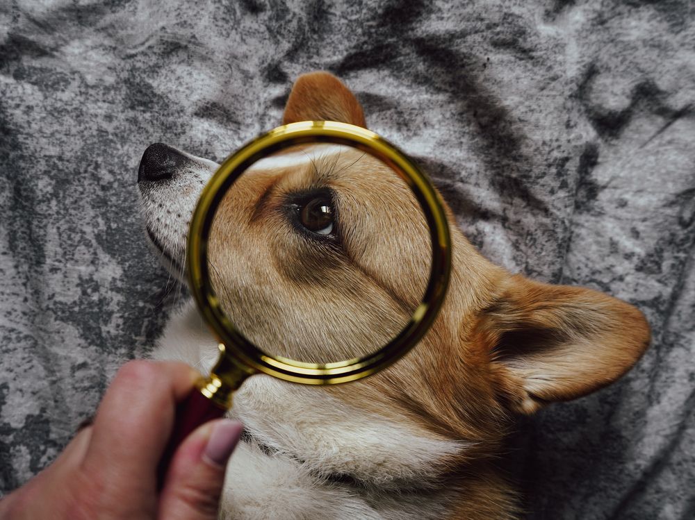 Photograph by Светлана Смирнова