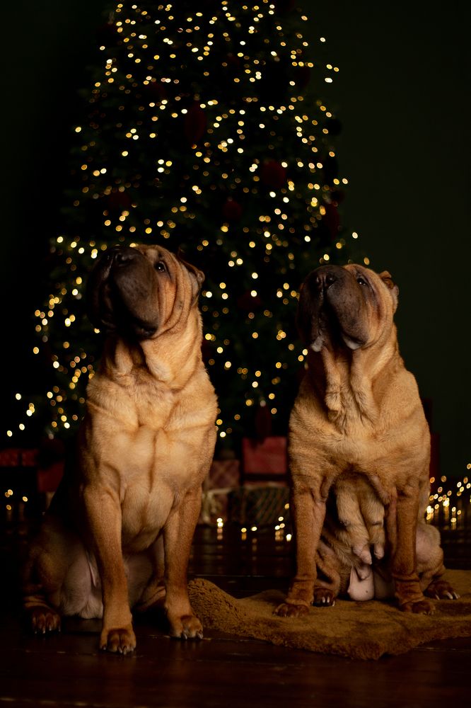 Photograph by TATYANA GRITSENKO