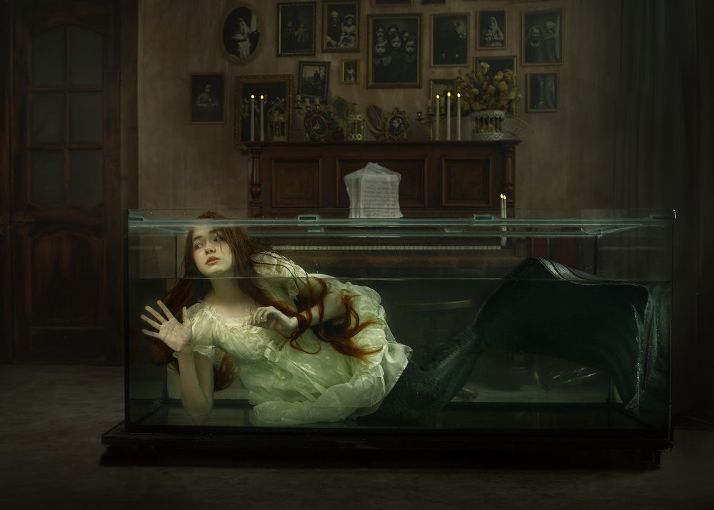 Photograph by Паршина Настасья