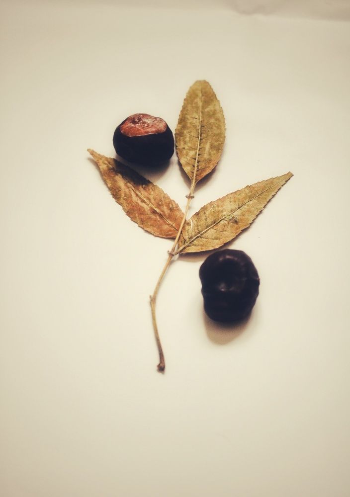 Photograph by Ekaterina