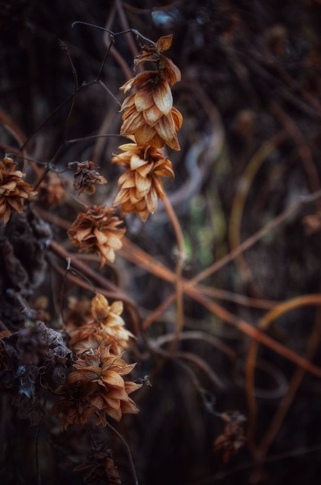 Photograph by Зыкова Мария