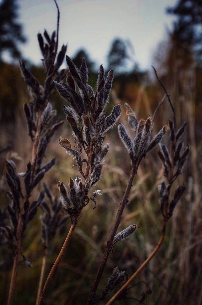 Photograph by Зыкова Мария