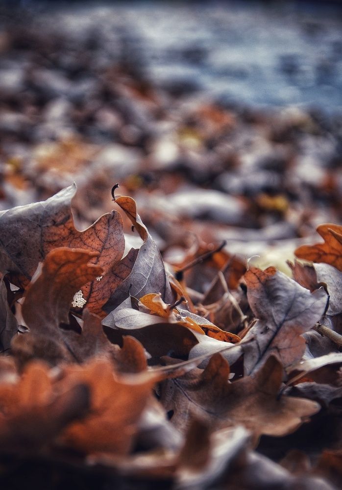 Photograph by Зыкова Мария