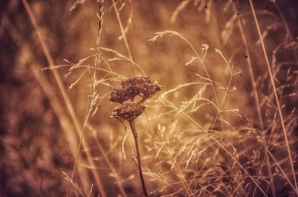 Photograph by Зыкова Мария