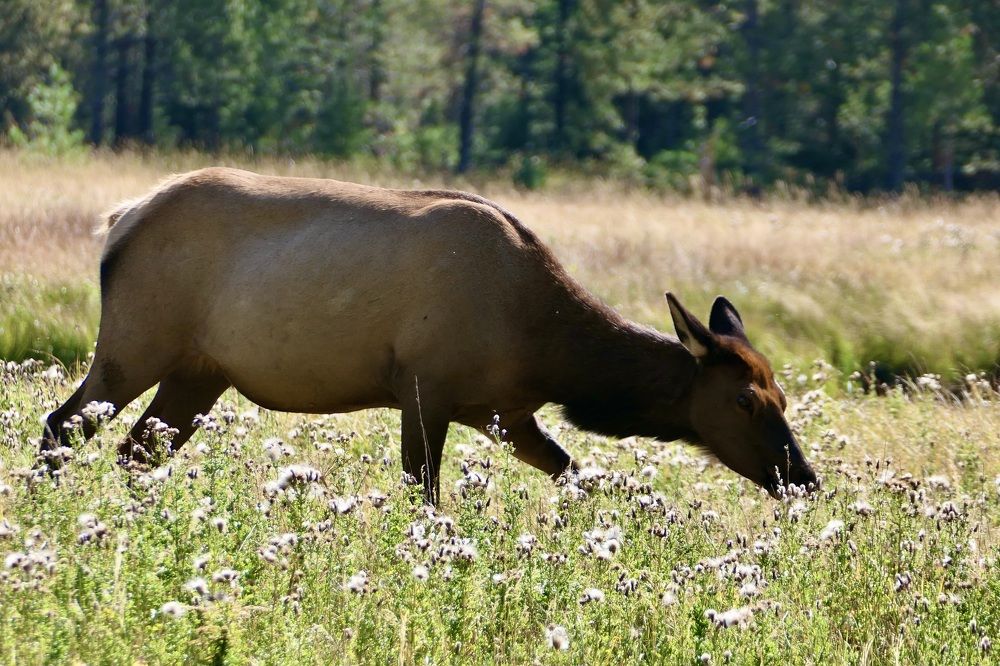 In the light of the sun
