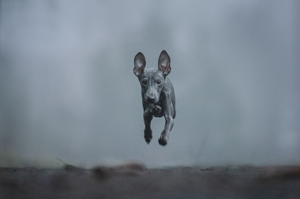 Фотография автора Ritus20018