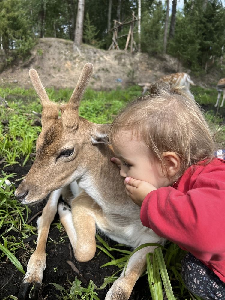 Photograph by Iryna Zakharchenia