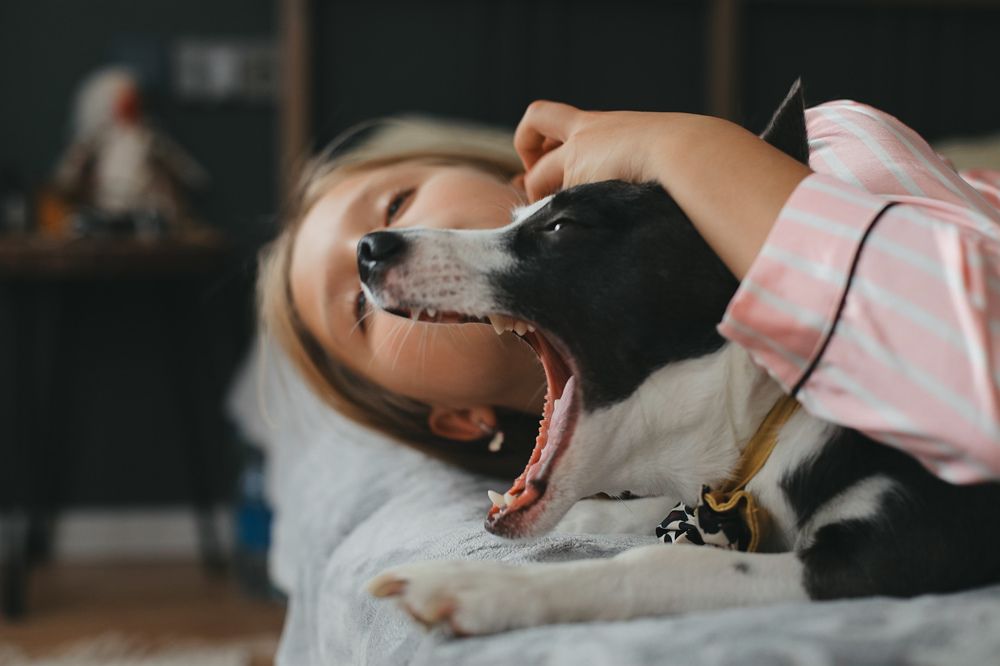 Photograph by Анастасия