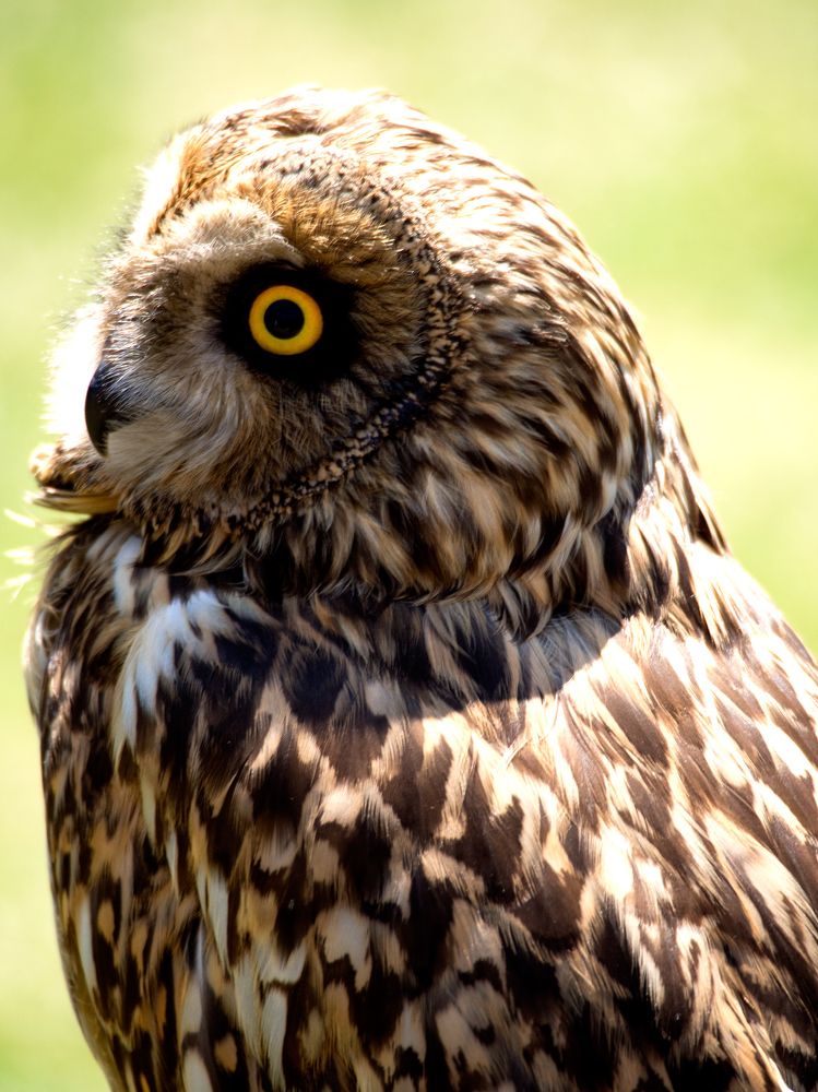 Photograph by Abdolreza Aleagha