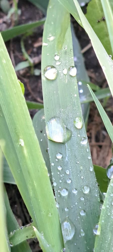 Фотография автора gustavo pecelis