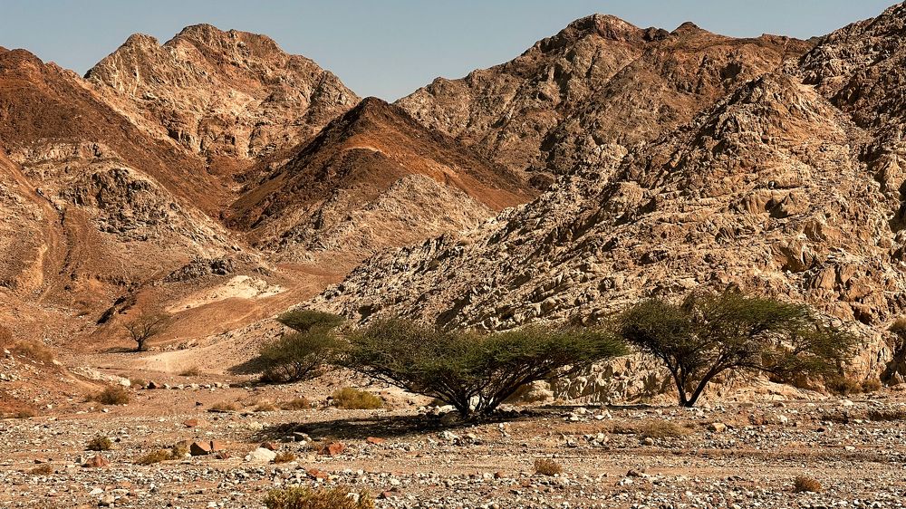 Photograph by Svetlana Garifullina