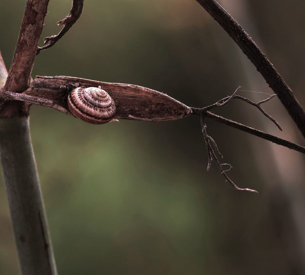 Photograph by Merav Zuberman Perkal